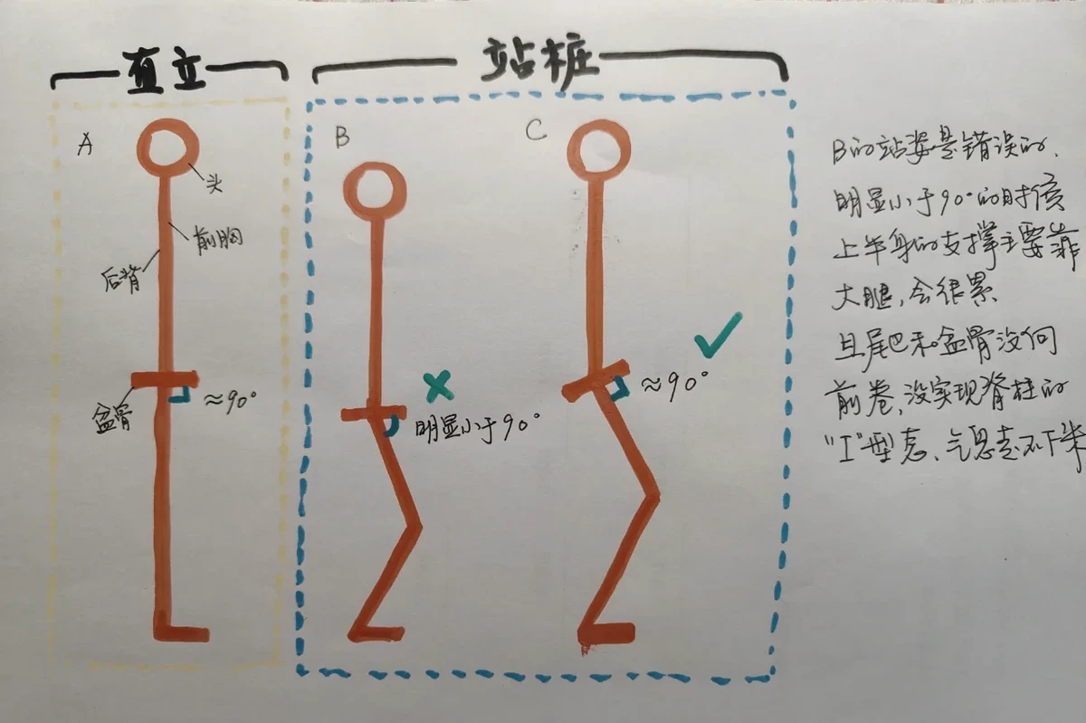 老年人打篮球时应如何进行适当的力量训练？_1